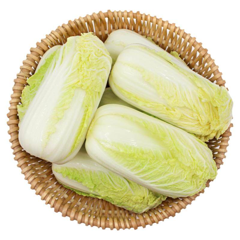 正宗山东新鲜奶油黄心娃娃菜10斤