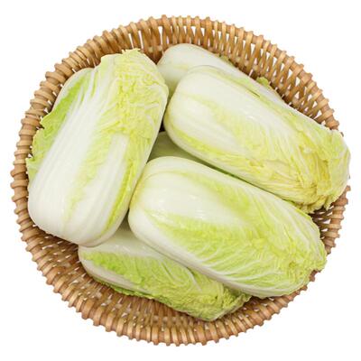 正宗山东新鲜奶油黄心娃娃菜10斤
