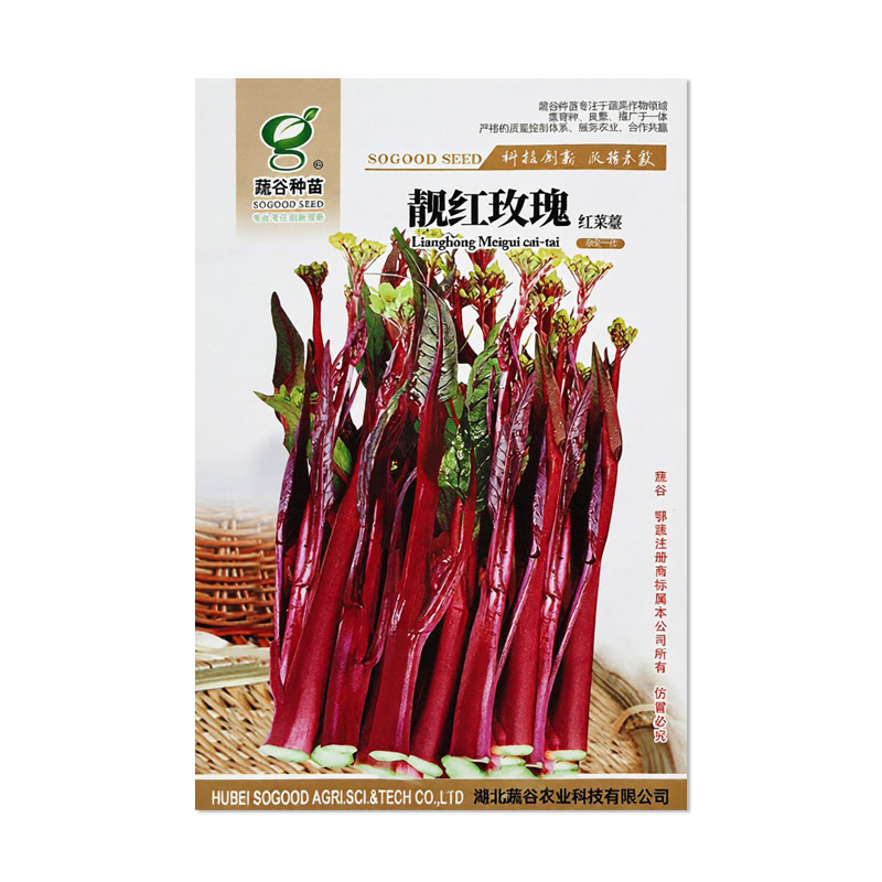 蔬谷种苗靓红玫瑰红菜苔种子