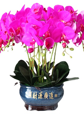 仿真花特大号手感PU蝴蝶兰盆景客厅电视柜装饰花玄关公司假花摆件