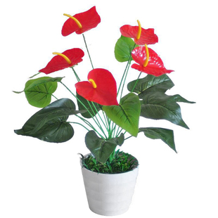 仿真树花发财树红掌滴龟背一品红绿萝植物盆景盆栽客厅假花树装饰