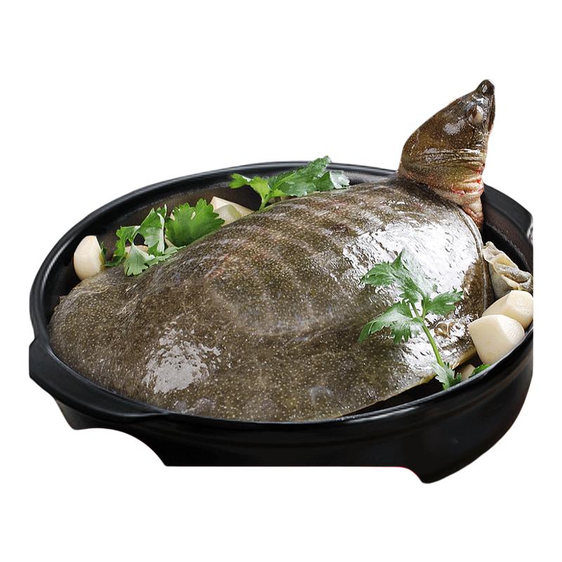 麻辣甲鱼熟食加热开袋即食整只甲鱼团鱼裙边麻辣鲜活食用卤憋王八