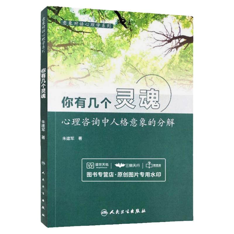 包邮正版 你有几个灵魂 心理咨询中人格意象的分解 意象对话心理学系列我是谁 意象对话 朱建军著 人民卫生出版社