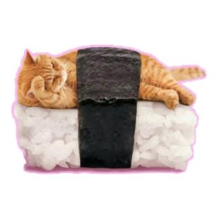 TLP反光车贴 可爱宠物猫咪猫猫橘猫主子寿司搞笑可爱动物防水贴纸