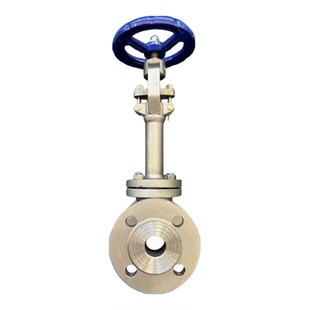 DJ41F-16P低温截止阀Stainless Steel Cryogenic Globe Valve