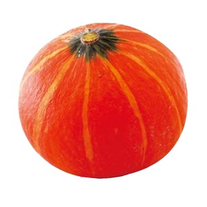 万圣节真南瓜灯笼生鲜学生儿童幼儿园作业手工材料diy