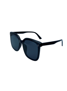 2022新款gm大框网红墨镜明星