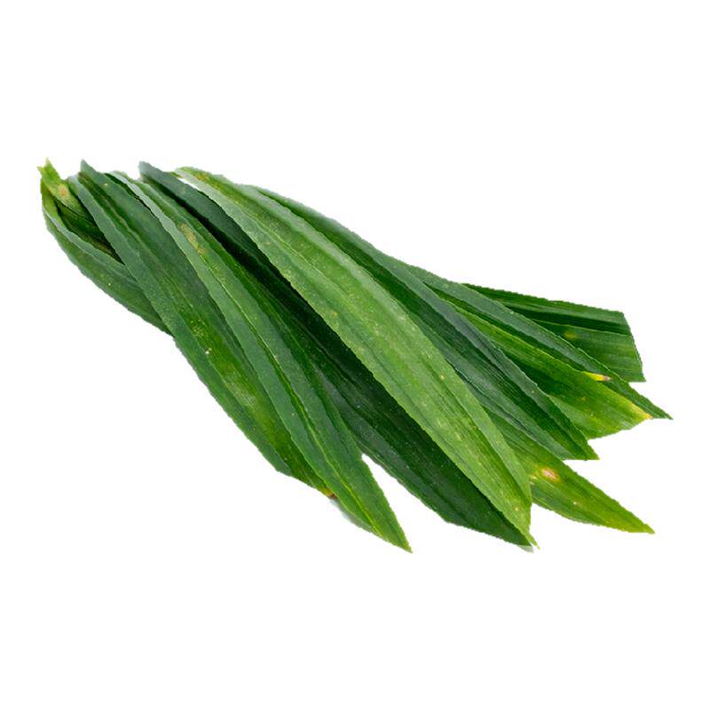 【沁蕊】香兰叶新鲜甲斑斓叶500g