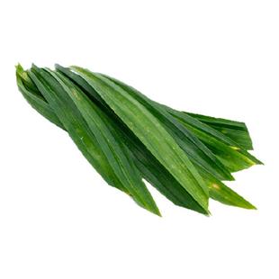 【沁蕊】 香兰叶新鲜食用斑斓叶 香兰叶香料甲抛叶 500g