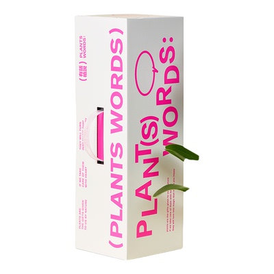 蝴蝶兰盆栽高级礼物创意送礼