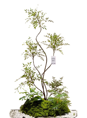 雅致仿真绿植假树室内软装