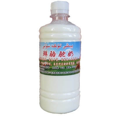 新疆骆驼鲜奶液体每天现寄新鲜