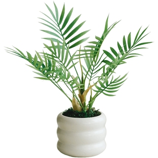 仿真绿植小盆栽假花龟背叶客厅办公室桌面茶几盆景摆件植物装饰品