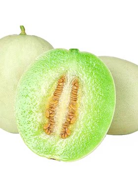 现摘冰淇淋玉菇甜瓜当季新鲜水果香瓜蜜瓜薄皮白瓜冰激凌脆甜好吃