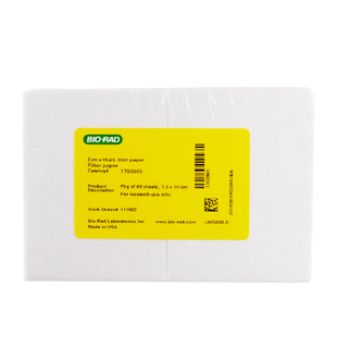 伯乐Western blot转膜转印湿转wb厚滤纸1703965/1703932天能六一