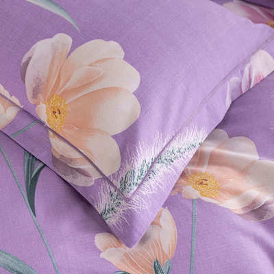 单件全棉加厚磨毛床单秋冬保暖床上用品全棉布被单单双人加大床单