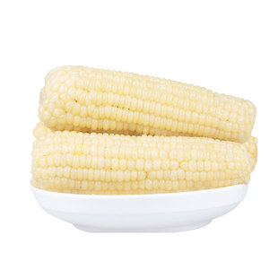 东北粗恋粘玉米棒A级40支整箱 冷冻香甜颗粒饱满白糯玉米大棒商用