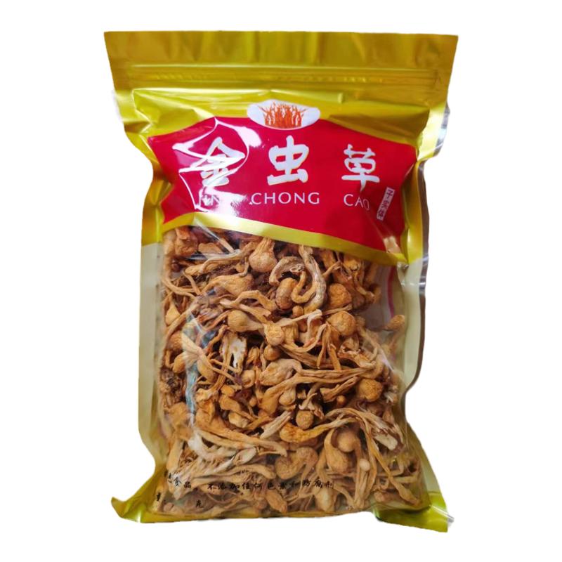 精品大孢子北虫草花特级食用菌