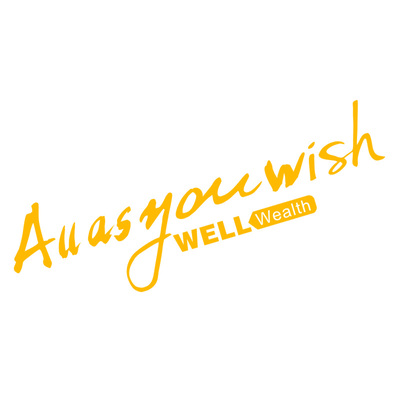 汽车后玻璃贴车窗贴纸反光英文贴