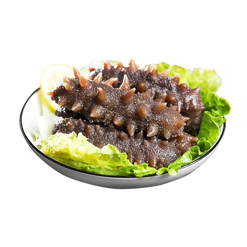 有机冷冻即食海参1斤/2斤 鲜活刺参礼盒宫品单个装海鲜水产海参