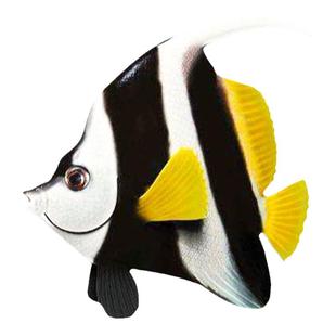 神像角蝶鱼羽毛黑白关刀神像鲽鱼活体海水观赏鱼蝶类水族宠物鱼