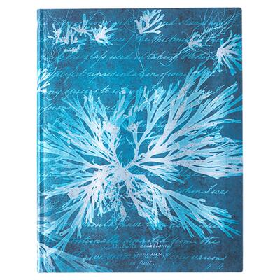 paperblanks海上花笔记本子