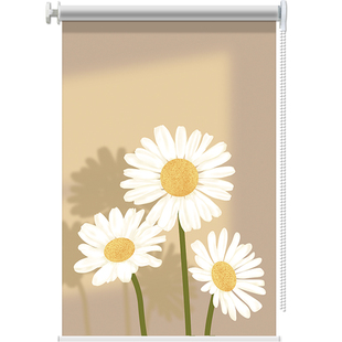 窗户卷帘遮阳帘免打孔厨房卫生间阳台窗帘遮挡帘遮光升降拉卷式