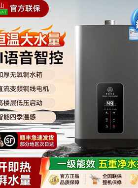 樱花山燃气家用热水器天然气智能节能16恒温变频平衡式液化气静音