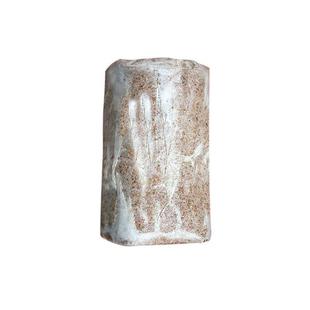 家养新款大棒菌包菌种蘑菇盆景多肉灵芝菌菇包阳台大号蘑菇种植包