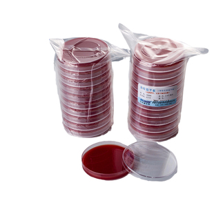 血琼脂平板营养琼脂平皿LB琼脂血平板检测盒细胞培养基TSA90mm