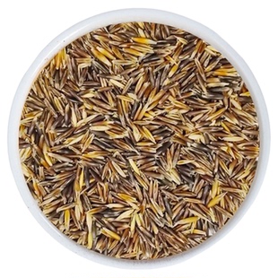 鹦鹉麦草籽白玉麦草籽黑金玉麦草籽和尚混合草籽鸟粮饲料营养美味