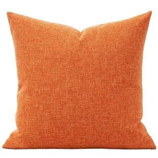 客厅沙发抱枕2025秋冬加厚床头靠垫不含芯枕芯可拆洗方形纯色灰色