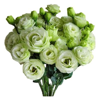 花点时间云南直发水养插花花束