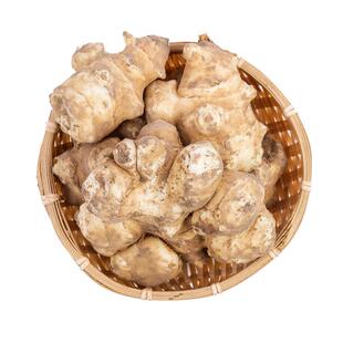 洋姜新鲜现挖腌制咸菜泡菜下饭菜小洋姜菊芋酱菜野鬼子姜蔬菜种子