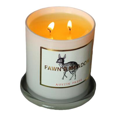 austinpress美国香薰蜡烛香氛