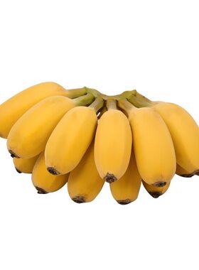 广西正宗苹果蕉5斤 banana新鲜香蕉粉蕉自然熟当季非小米芭蕉香焦