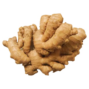 山东精品老生姜黄姜窖藏现挖现发农家自种无硫土姜月子姜产地包邮