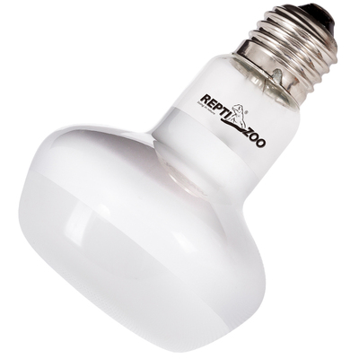 爬宠加热灯乌龟晒背灯