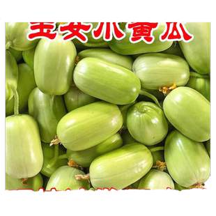 玉女黄瓜5斤山东水果小黄瓜拇指黄瓜生吃青瓜东北旱白玉黄瓜蔬菜