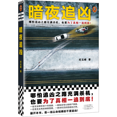 读客悬疑推理小说暗夜追凶