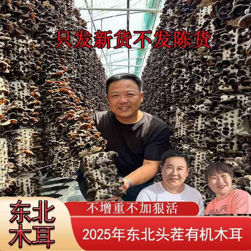 2026年新货 有机木耳 无胶 无根 黑木耳东北菌类  不增重