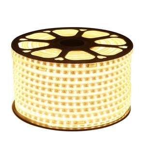 灯带led三色变色 七彩家用灯条超亮客厅吊顶暗槽户外防水220v线灯