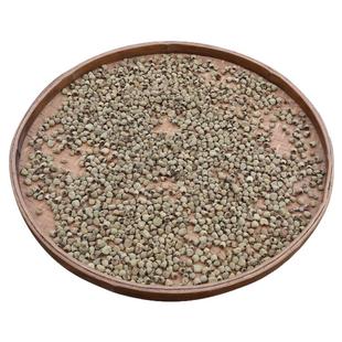 野生正品覆盆子500g中药材深山掌叶覆盆子果覆盘子复盆子覆盆子茶