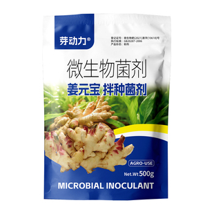 芽动力生姜拌种剂提高出芽率生根壮苗不烂种增产增收微生物肥料