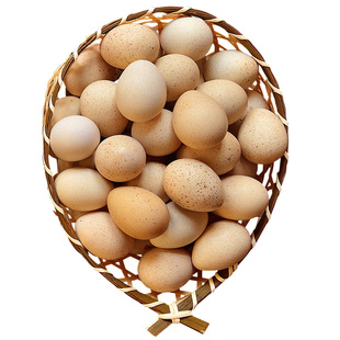 新鲜鹧鸪蛋60枚飞龙蛋石鸡宝宝营养胜过鸽子蛋宝宝辅食鸟蛋竹鸡蛋