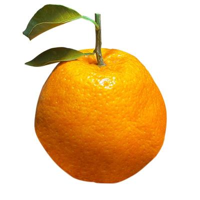 摘果欢四川春见耙耙柑彩箱装包邮