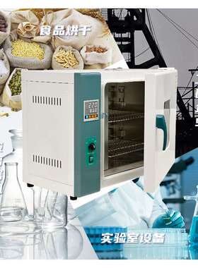 电热鼓风干燥箱101-0AB实验室烘箱101-0BE 304不锈钢干燥箱美标欧