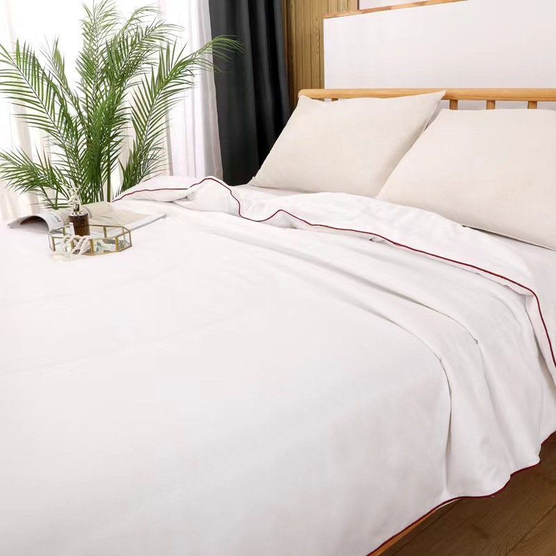 水帛夏凉被天鹅之恋薄款被被芯夏季可水洗机洗空调被春秋单双人被