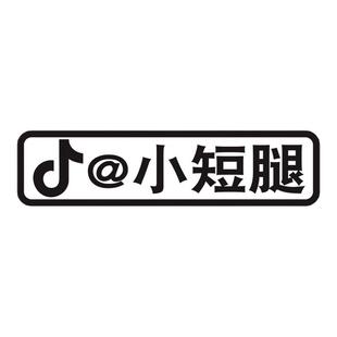 摩托车贴纸定制文字汽车电动车创意个性头盔上学接老婆买菜用车贴