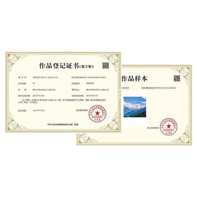 加急美术作品图片logo申请服装插画文字知识产权著作权版权登记